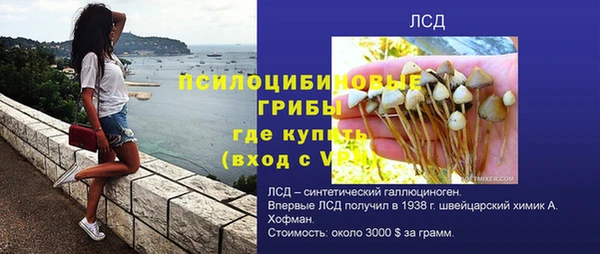 тгк Алексин
