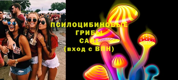 тгк Алексин