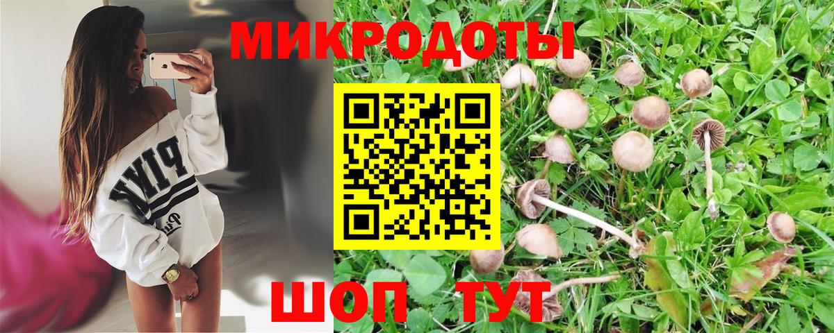 Псилоцибиновые грибы GOLDEN TEACHER Апатиты