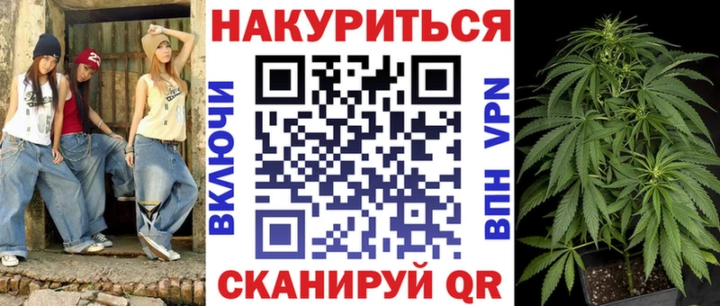 Бошки Шишки план Апатиты